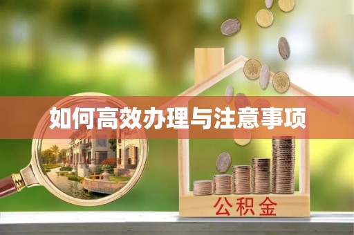 青冈如何高效办理与注意事项