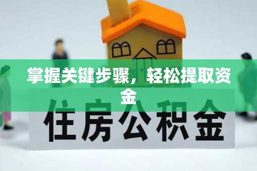青冈掌握关键步骤，轻松提取资金